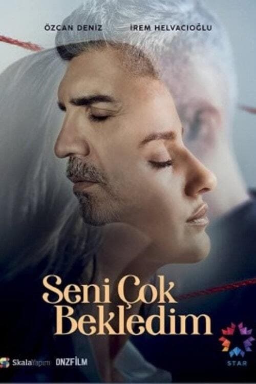 دانلود سریال Seni Çok Bekledim